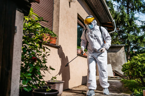 Best Best Pest Control Companies  in Depew, NY