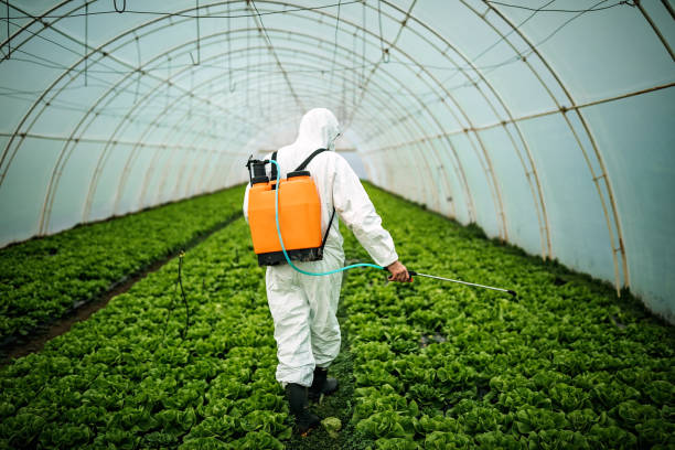 Best Pest Removal Services  in Depew, NY