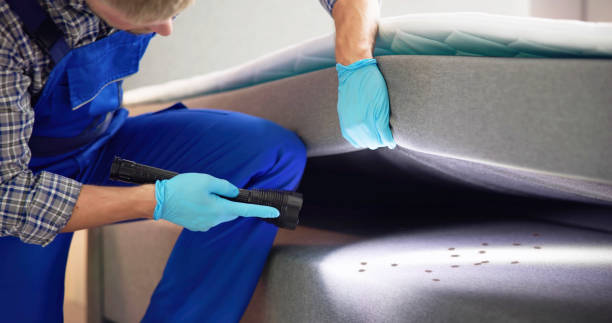 Reliable Depew, NY Pest Control Solutions