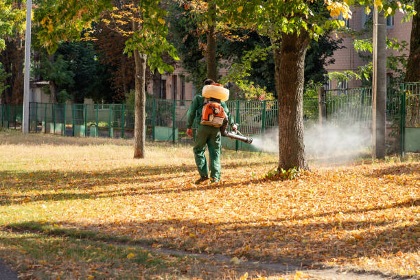 Best Wildlife Control Services  in Depew, NY