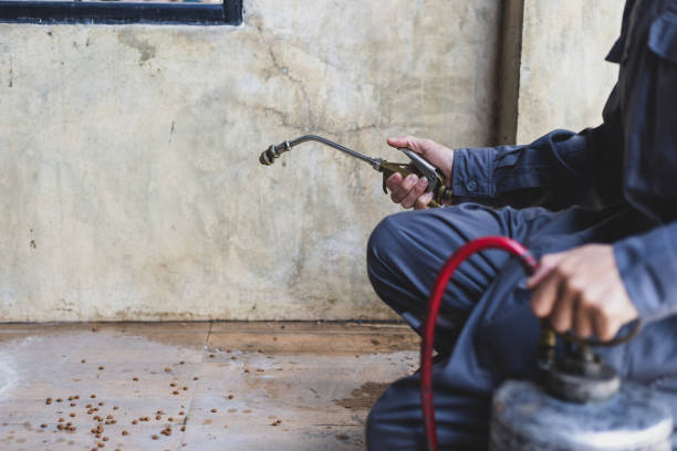 Best Best Pest Control Companies  in Depew, NY
